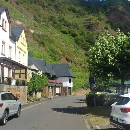 Apartment Haus Moselschleife Bremm