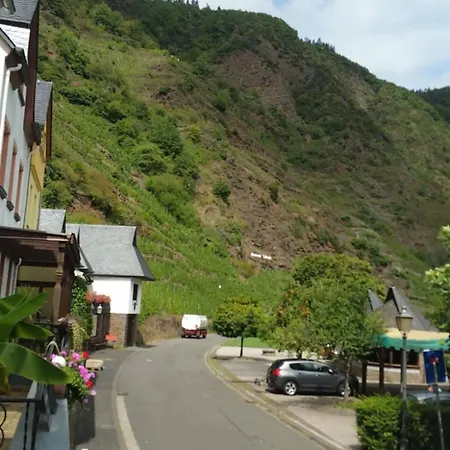 Apartment Haus Moselschleife Bremm
