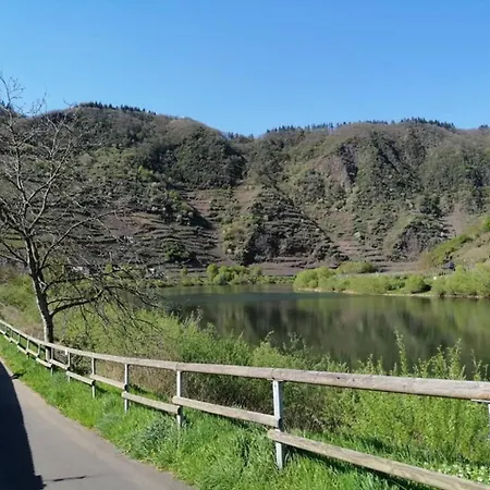 Apartamento Haus Moselschleife Bremm