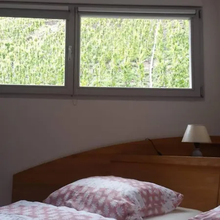 Appartement Haus Moselschleife