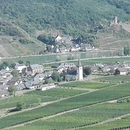 Haus Moselschleife * Bremm