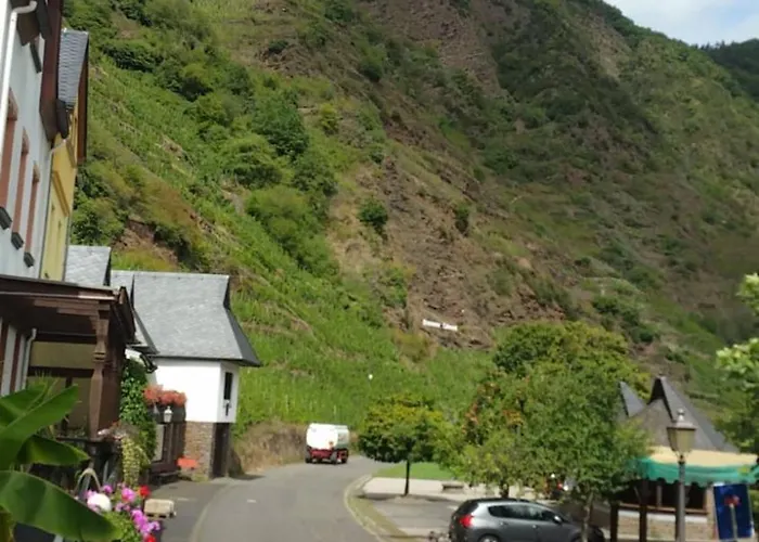 Apartamento Haus Moselschleife Bremm