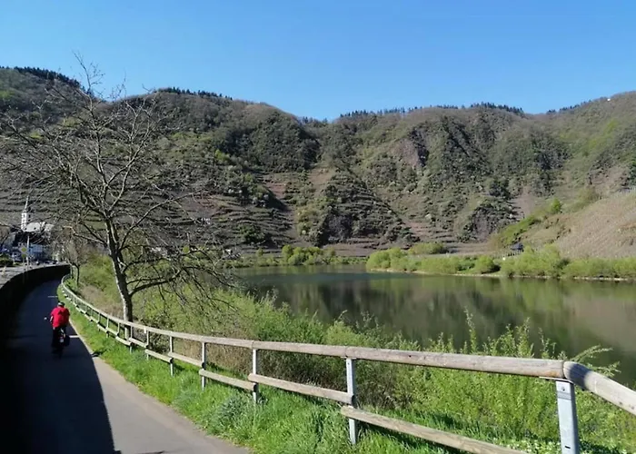 Haus Moselschleife Apartamento *